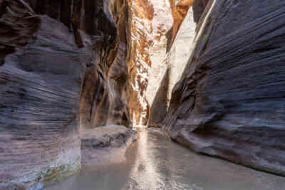 📷 Zion Narrows
