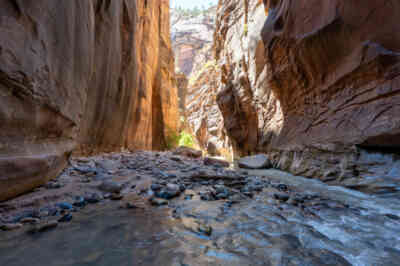 📷 Zion Narrows