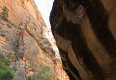 📷 Zion Narrows