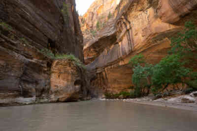 📷 Zion Narrows