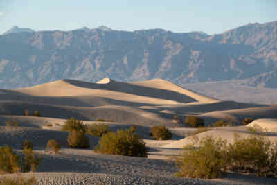 📷 Mesquite Flat Sand Dunes