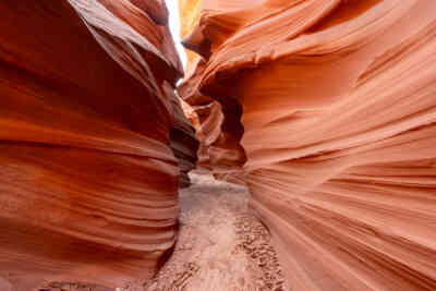 📷 Mountain Sheep Canyon