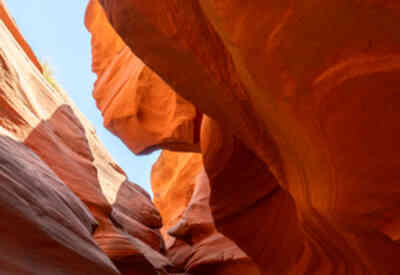 📷 Mountain Sheep Canyon