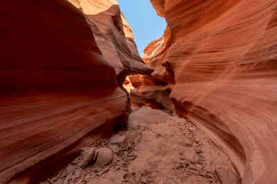 📷 Mountain Sheep Canyon