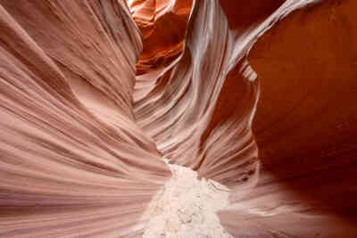 📷 Mountain Sheep Canyon