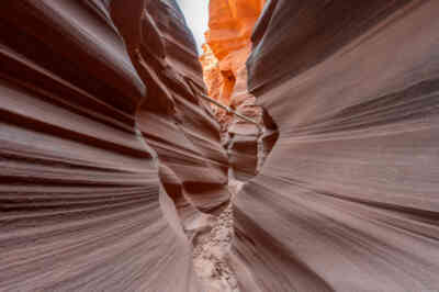 📷 Mountain Sheep Canyon