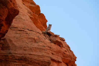 📷 Owl Canyon