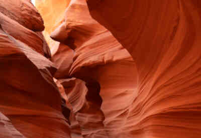 📷 Mountain Sheep Canyon