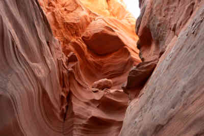 📷 Mountain Sheep Canyon