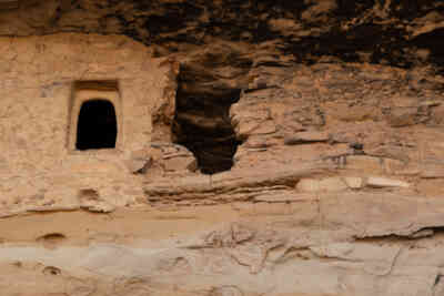 📷 Mug House