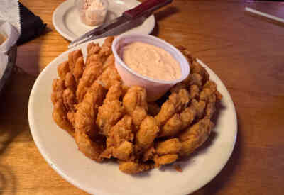 📷 Fried Onion