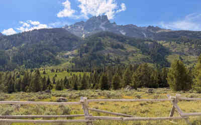 📷 Grand Teton National Park