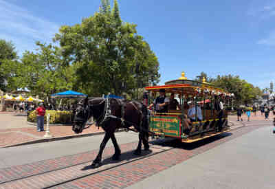 📷 Disneyland