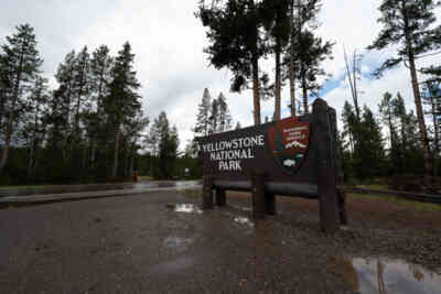 📷 Yellowstone National Park Sign