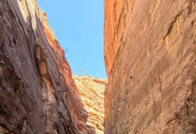 📷 Zion Narrows