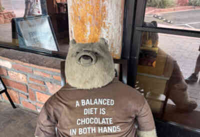 📷 A Balanced Diet
