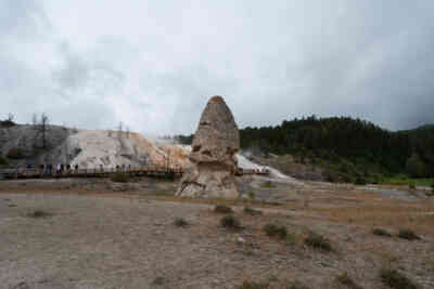 📷 Liberty Cap
